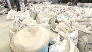 sugar export| sugar import