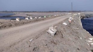 temporaty bridge| NGT| Yamuna