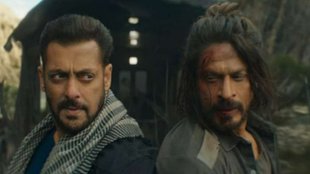 Tiger vs Pathaan| salman khan shah rukh khan
