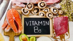 Vitamin B5 Deficiency: अंग-अंग की नसों को बेजान कर देती है विटामिन बी 12 की कमी, 10 लक्षणों को पहचान डाइट में तुरंत करें इन चीजों को शामिल