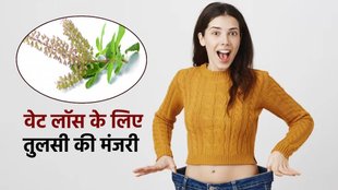 Tulsi Manjari For Weight loss, वजन कम करने के लिए तुलसी की मंजरी , Health Benefits of Tulsi Manjari