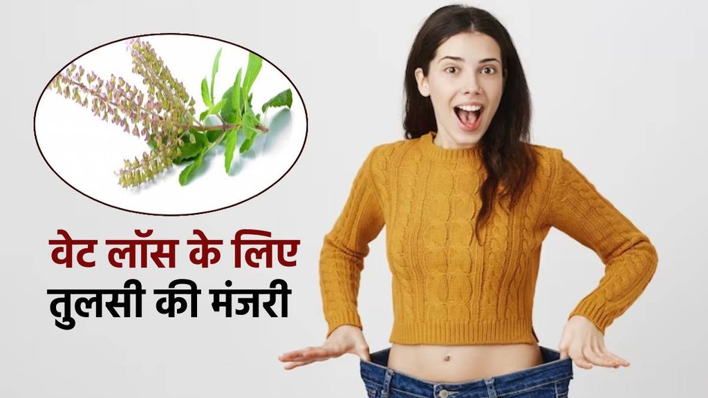 Tulsi Manjari For Weight loss, वजन कम करने के लिए तुलसी की मंजरी , Health Benefits of Tulsi Manjari