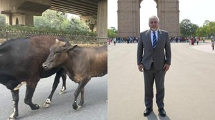 LiorHaiat II Isreal II Akhilesh yadav