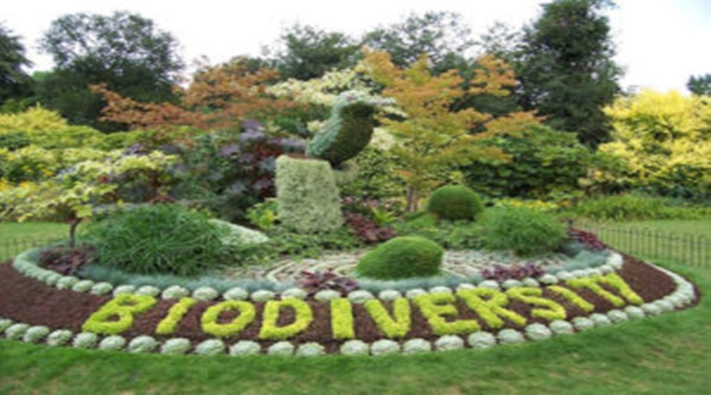 Biodiversity| environment