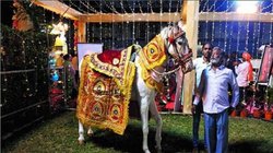 दलित दूल्हे को दबंगों ने पीटा, घोड़ी से जबरन उतारा, बोले- तुम्हारी हिम्मत कैसे हुई हमारे गांव में…