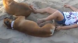 सो रहे कुत्ते को Disturb करने लगी लड़की, उठकर किया कुछ ऐसा कि लोग बोले- यही है ‘KARMA’