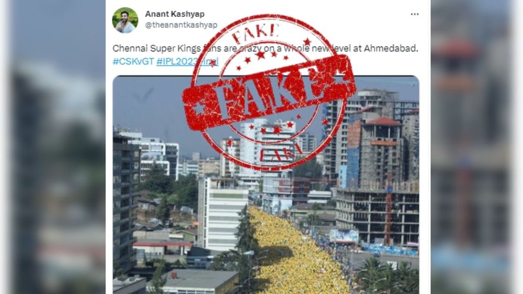 fact check