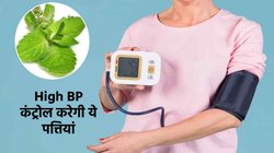 140/90 mmHg से ऊपर रहता है आपका ब्लड प्रेशर ? आज से ही करें इन हरी पत्तियों का सेवन, कंट्रोल में रहेगा हाई बीपी