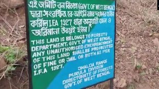 Jharkhand Forest, West Bengal Board, Forest Area