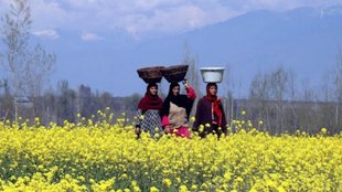 Kashmir | Doda | farmers