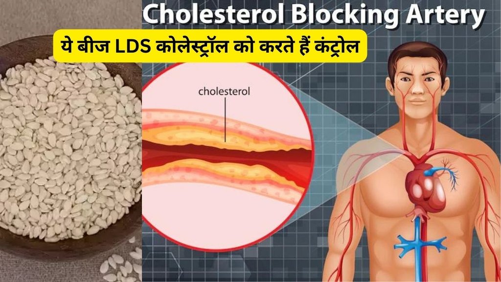 high cholesterol level,sesame seed,seeds for cholesterol,sesame seeds for cholestero,heart health,seeds for diabetes