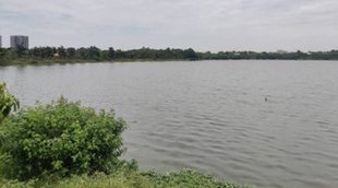 Lake | dry