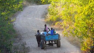 Miserable Country | Zimbabwe