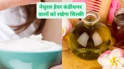 Hair Care Tips: बालों को वॉश करने के बाद बाल ड्राई और फ्रिजी दिखते हैं तो इन 2 नेचुरल कंडीशनर से करें बालों को मॉइश्चराइज