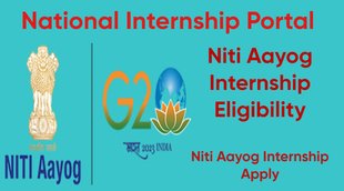National portal | Job