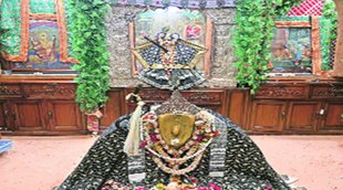 Nidhivan | brindavan