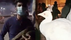 Pakistan: सेना कमांडर के घर में घुस गये प्रदर्शनकारी, मोर चुराए व्यक्ति का ये वीडियो हो रहा वायरल