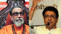 राजनीति में पुरानी है चाचा-भतीजे की लड़ाई, कहीं अजित के साथ ना हो जाए ‘राज ठाकरे’ वाला खेल