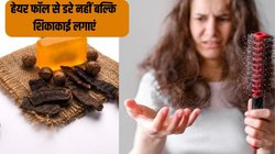 Hair Care Tips: बालों को जड़ों से मज़बूत और काला बनाना चाहते हैं तो शिकाकाई के साथ करें इन 3 चीजों का इस्तेमाल, जल्द दिखेगा निखार