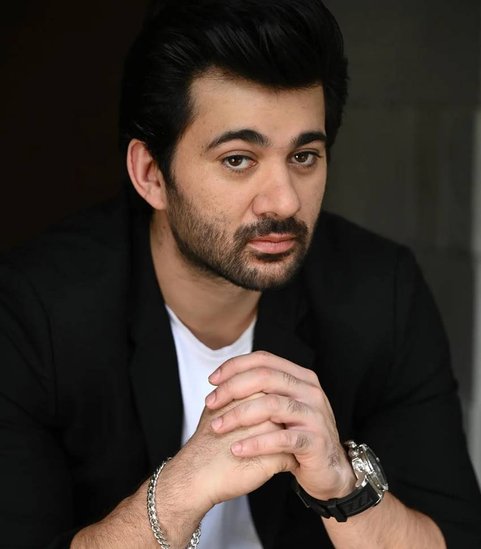 sunny deol movies