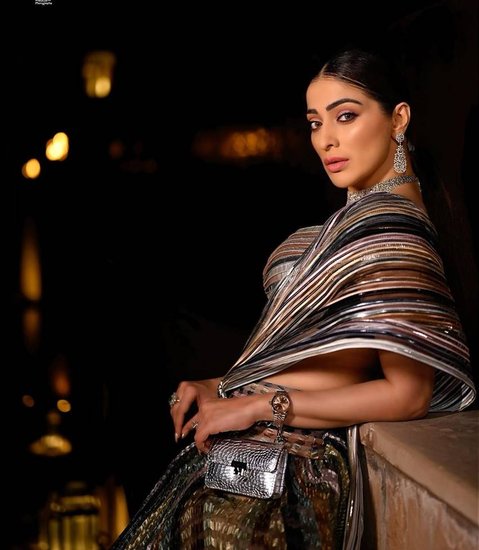 Raai Laxmi South Movies