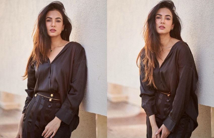 Sonal Chauhan sizzling pics