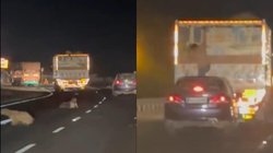 UP: चलते ट्रक से बकरे चुराने का वीडियो वायरल, तरीका देख हर कोई हैरान