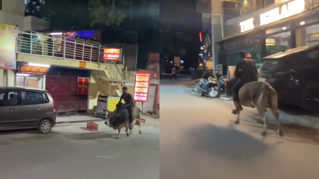 Viral Video II UP II Trending News