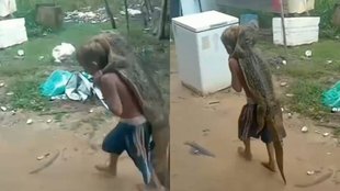 Viral Video| Trending Video| Trending Viral Video|
