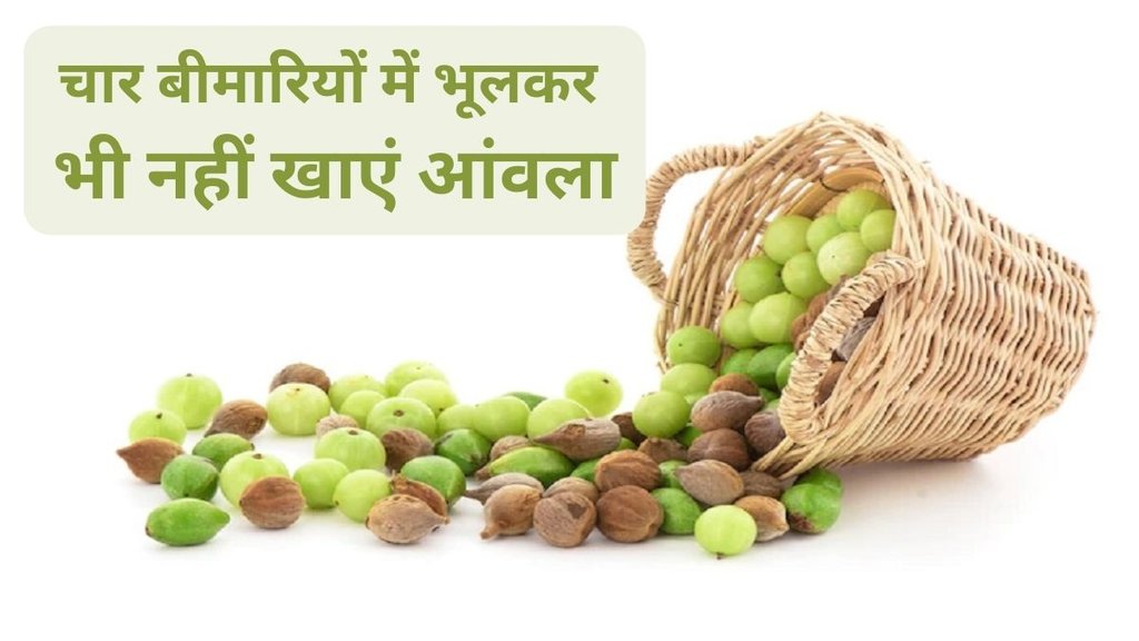 Lifestyle,Amla,Health Problems,who should not eat amla,people who should not eat amla,amla side effects,amla side effects in hindi,unhealthy Amla,Amla for health Lifestyle,Amla,Health Problems,who should not eat amla,people who should not eat amla,amla side effects,amla side effects in hindi,unhealthy Amla,Amla for health
