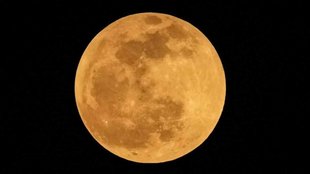 CHANDRA Grahan 2023, lunar eclipse 2023