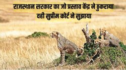कूनो में 3 चीतों की मौत पर सुप्रीम कोर्ट को हुई च‍िंता लेकिन केंद्र सरकार ने सबसे बड़ी अदालत से छ‍िपा ली एक बात