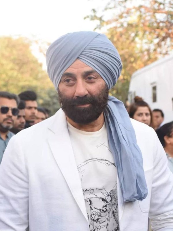 SUNNY DEOL HIT FILM LIST