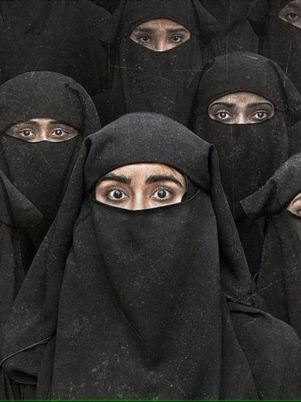 The Kerala Story Collection 7