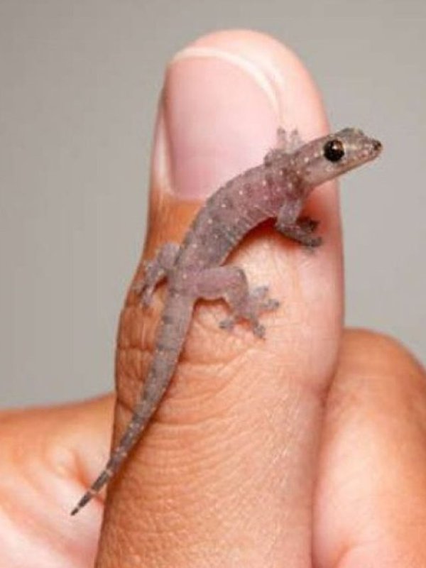 Untitled design (16)