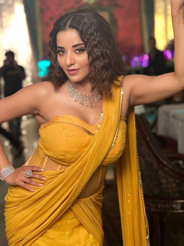 monalisa saree look (6)