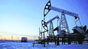 crude oil | import