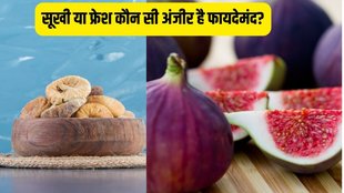 The best form to have figs for diabetics,Fresh or dried figs, Fresh or dried figs benefits, why have figs,figs benefits for sugar control,