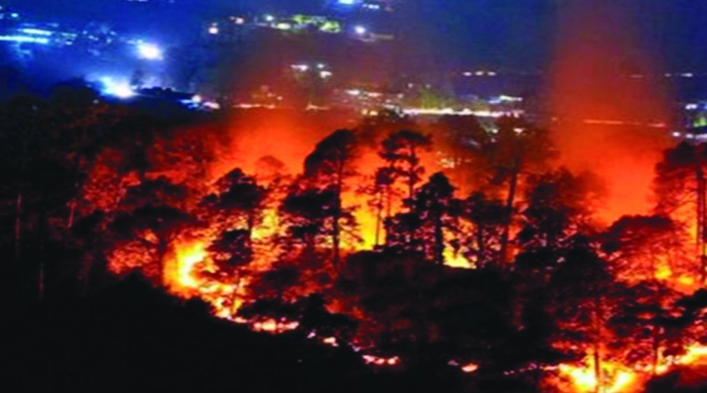 fire | forest