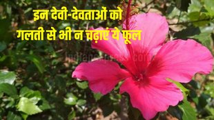 Vastu Tips for Flowers, puja path, flower not to offered to god
