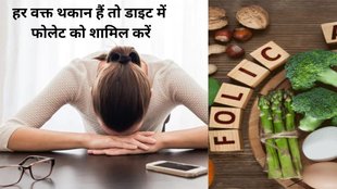 Folate Deficiency Symptoms,Foods Rich in Folate,folic acid deficiency symptoms