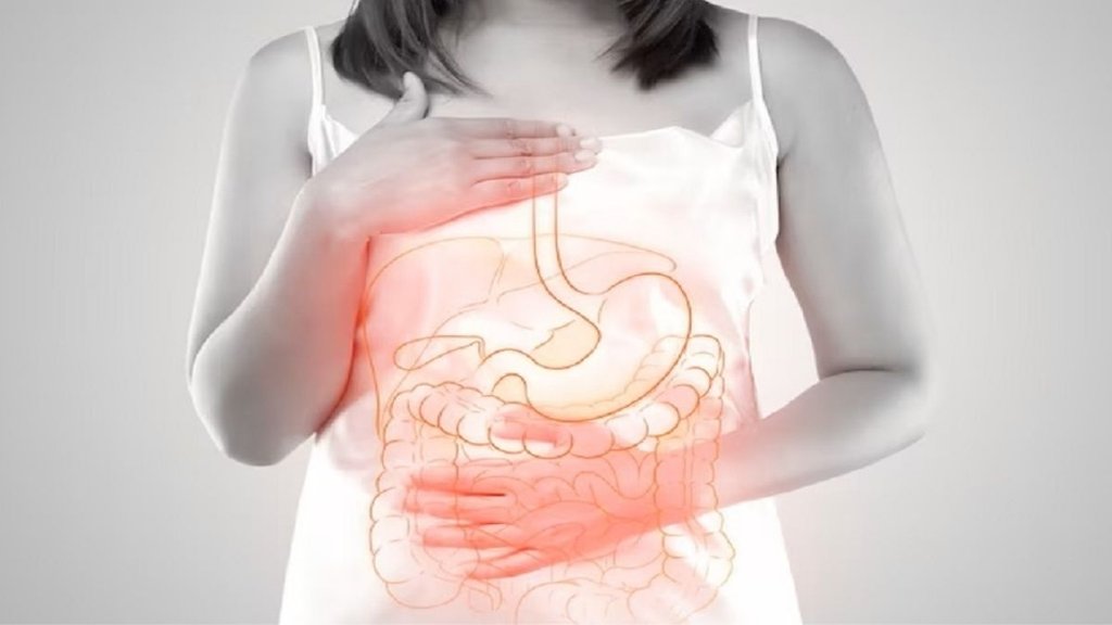 Saturated fats and gut health, Ultra-processed foods and their impact on the gut, Vegetable oil and its effect on the gut, Alcohol and gut health,
