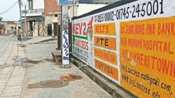 IELTS: ओलंपिक मेडल ही नहीं, अब हरियाणा के गांव देख रहे एक और सपना, लगातार बढ़ रही है ऐसे युवाओं संख्या