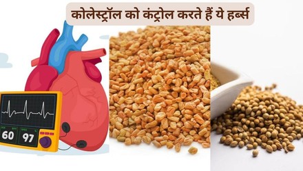 कोलेस्ट्रॉल कम करने के घरेलू उपाय: हिंदी में जानकारी (Cholesterol kam karne ke gharelu upay: Hindi mein jankari)
