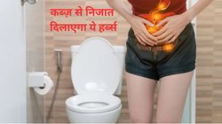 गले से लेकर कोलोन तक की पूरी नली को साफ करेगा ये हर्ब्स, आंतों की भी होगी सफाई, जानिए इस्तेमाल का तरीका
