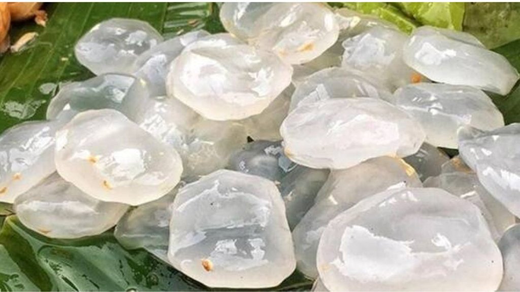 tadgola or ice apple benefits, summer and tadgola, indianexpress.com, indianexpress,Ice Apple in Hindi,Ice Apple Fruit in Hindi,Ice Apple Fruit