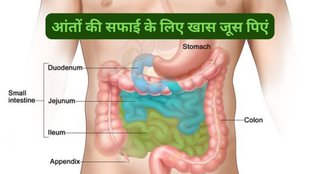 How to remove stool accumulated in intestines, Juice for cleansing intestine dirt, stomach clear, what is gut health, what is gut bacteria, What foods to avoid if you have a gut problem