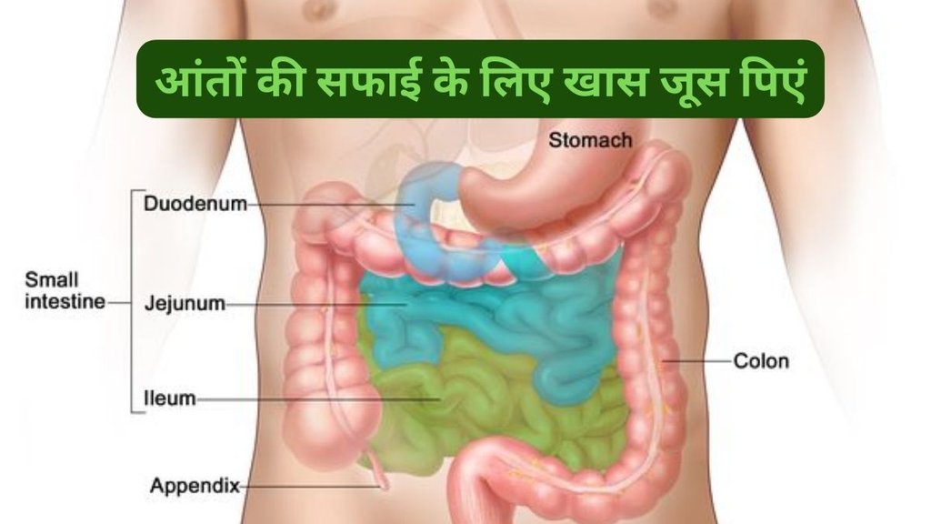 How to remove stool accumulated in intestines, Juice for cleansing intestine dirt, stomach clear, what is gut health, what is gut bacteria, What foods to avoid if you have a gut problem