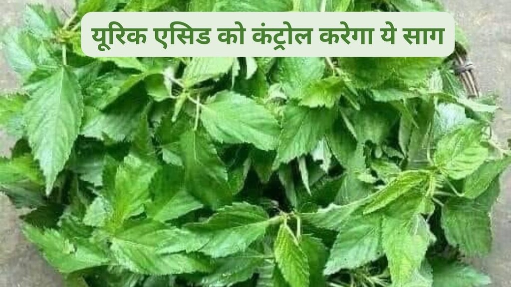 Patua saag, pattashaak benefits, pat shak benefits, What is the benefit of jute saag,