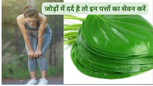 uric acid control tips, 3 types of leaves decoction for uric acid control,kidney detox drinks, toxin flush out,how to control uric acid, uric acid control tips,यूरिक एसिड कंट्रोल करने के लिए काढ़ा, तीन तरह के पत्ते यूरिक एसिड करते हैं कंट्रोल, हार श्रृंगार के पत्तों का काढ़ा पिएं यूरिक एसिड कंट्रोल रहेगा,पान के पत्तों का करें सेवन,